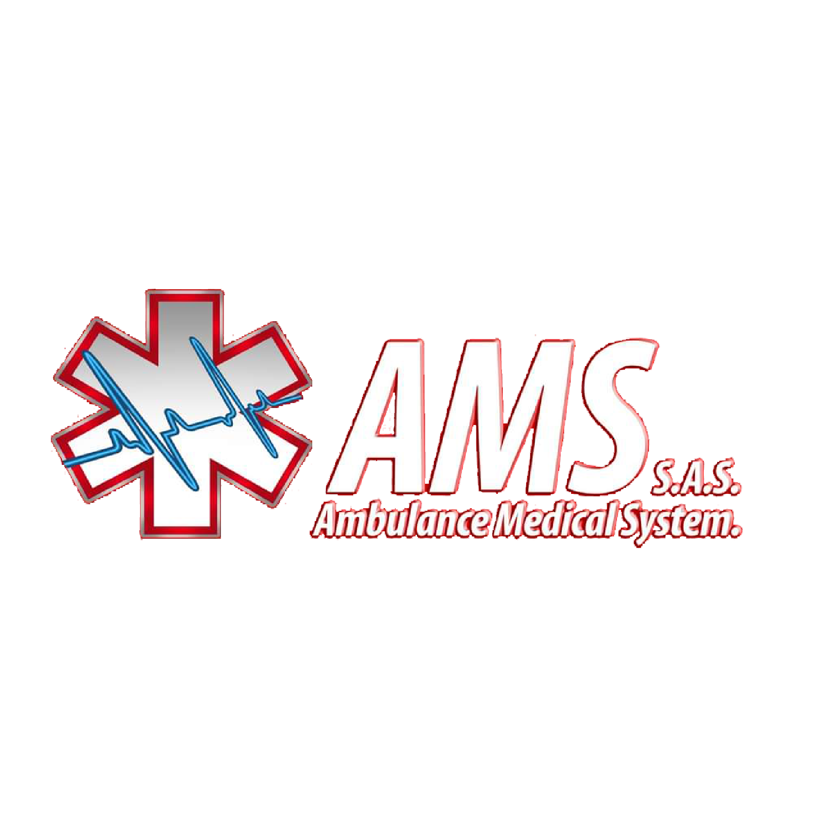 19_ams ambulance.png